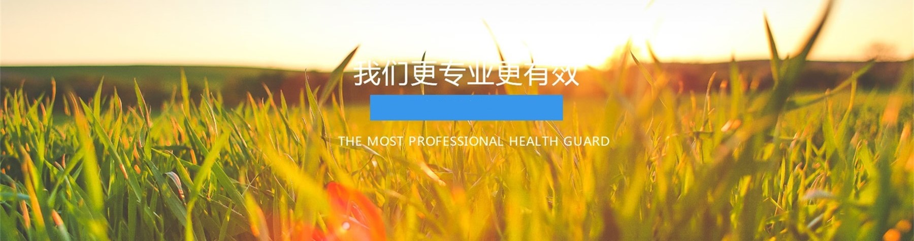 人人站CMS